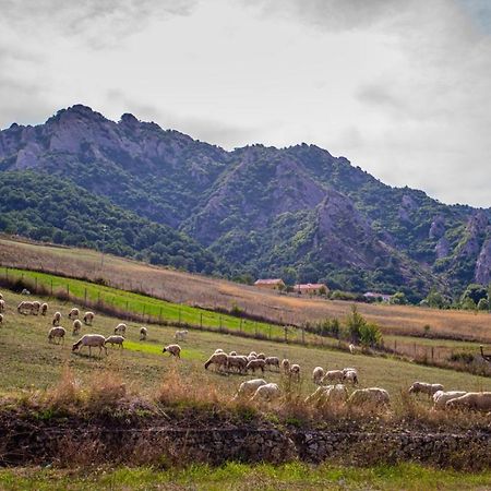 Spazio Natura Castelmezzano Eksteriør billede