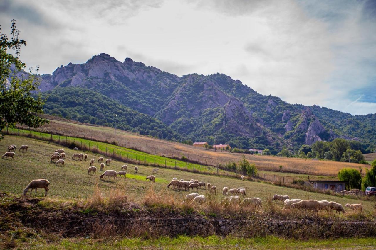 Spazio Natura Castelmezzano Eksteriør billede